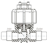 Diaphragm